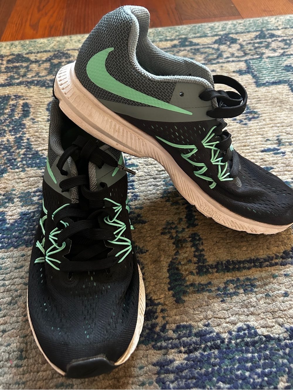 Nike Zoom Winflo 3 Women’s  Size 9.5